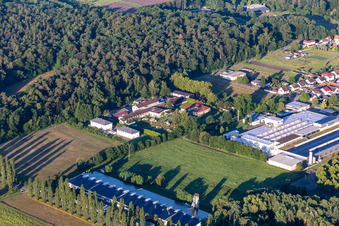 Webasto Mechatronics im Ortsteil Schaidt in Wörth am Rhein im Bundesland Rheinland-Pfalz, Deutschland