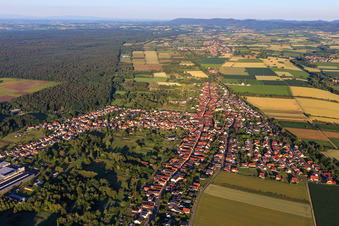 Schaidt von Osten in Wörth am Rhein im Bundesland Rheinland-Pfalz, Deutschland