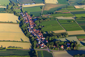 Vollmersweiler von Osten im Bundesland Rheinland-Pfalz, Deutschland