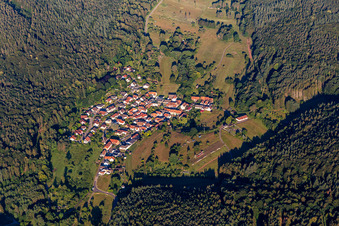 Von Wald und Forstgebieten umgebener Ortskern der Straßen und Häuser und Wohngebiete in Böllenborn im Bundesland Rheinland-Pfalz, Deutschland