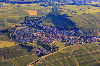 Winzerort an der Kleinen Kalmit aus Süden in Ilbesheim bei Landau im Bundesland Rheinland-Pfalz, Deutschland