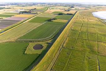 Dithmarscher Eidervorland im Ortsteil Schülper Neuensiel in Wesselburenerkoog im Bundesland Schleswig-Holstein, Deutschland