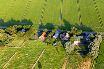 Luftaufnahme von Schülpersieler Straße im Ortsteil Schülperweide in Wesselburenerkoog im Bundesland Schleswig-Holstein, Deutschland