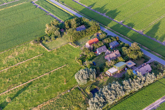 Schülpersieler Straße im Ortsteil Schülperweide in Wesselburenerkoog im Bundesland Schleswig-Holstein, Deutschland vom Flugzeug aus