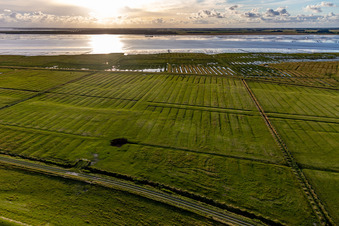 Luftaufnahme von Dithmarscher Eidervorland im Ortsteil Schülper Neuensiel in Wesselburenerkoog im Bundesland Schleswig-Holstein, Deutschland