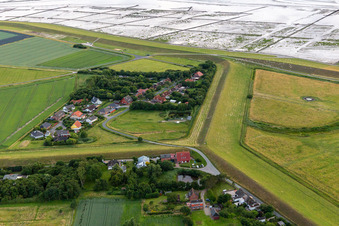 Ferienhaus Hedwig meine Perle im Ortsteil Westerkoog in Hedwigenkoog im Bundesland Schleswig-Holstein, Deutschland