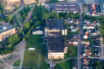 Weisse Dame in Gronau im Bundesland Nordrhein-Westfalen, Deutschland