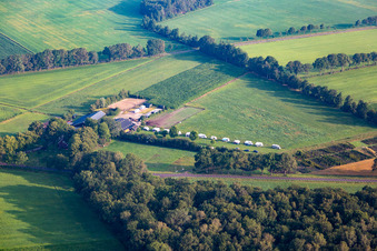 Camping De Nieuwe Bosplaats in Haaksbergen im Bundesland Overijssel, Niederlande