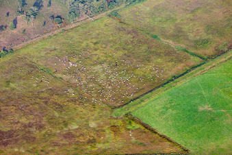 Haaksbergen im Bundesland Overijssel, Niederlande