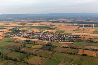 Minfeld im Bundesland Rheinland-Pfalz, Deutschland
