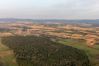 Freckenfeld im Bundesland Rheinland-Pfalz, Deutschland