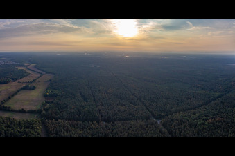 Sonnenaufgang über dem Bienwald am Otterbachtal in Minfeld im Bundesland Rheinland-Pfalz, Deutschland