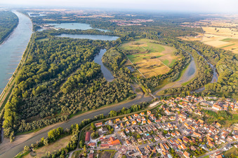 Naturreservat Sauer-Delta in Munchhausen im Bundesland Bas-Rhin, Frankreich