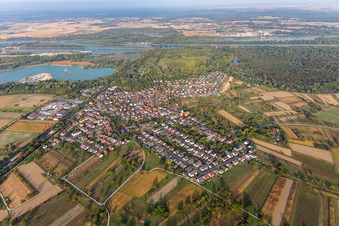 Luftbild von Dorfkern an den Fluß- Uferbereichen des Rhein in Wintersdorf in Rastatt im Bundesland Baden-Württemberg, Deutschland