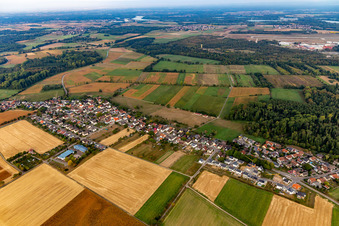 Luftaufnahme von Ortsteil Leiberstung in Sinzheim im Bundesland Baden-Württemberg, Deutschland