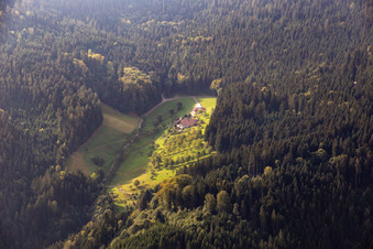 Bärbelsbach im Ortsteil Bad Peterstal in Bad Peterstal-Griesbach im Bundesland Baden-Württemberg, Deutschland