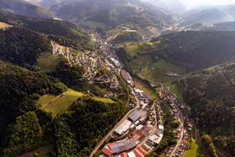 Luftbild von Treyer Paletten im Ortsteil Bad Peterstal in Bad Peterstal-Griesbach im Bundesland Baden-Württemberg, Deutschland