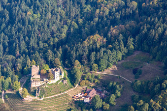 Luftbild von Ruine Schauenburg in Oberkirch im Bundesland Baden-Württemberg, Deutschland