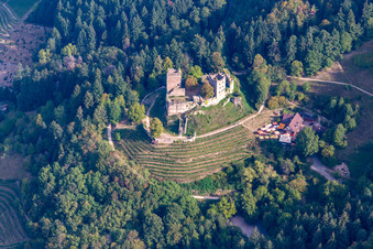 Luftbild von Ruine und Mauerreste der ehemaligen Burganlage Schauenburg in Oberkirch im Ortsteil Wolfhag im Bundesland Baden-Württemberg, Deutschland