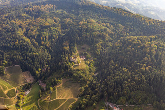 Ruine Schauenburg und Burgwirtschaft in Oberkirch im Bundesland Baden-Württemberg, Deutschland