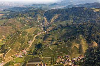 Oberkirch/Ringelbach