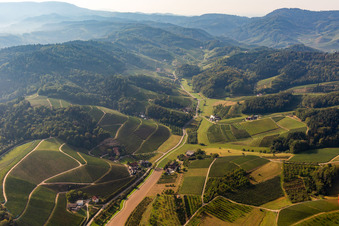 Weintalstraße im Weidenbachtal in Oberkirch im Bundesland Baden-Württemberg, Deutschland