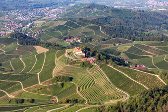 Luftaufnahme von Weingut Markgraf von Baden im Schloss Staufenberg im Ortsteil Heimbach in Durbach im Bundesland Baden-Württemberg, Deutschland