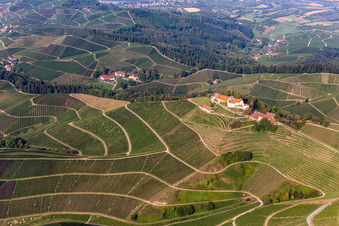 Schrägluftbild von Weingut Markgraf von Baden im Schloss Staufenberg im Ortsteil Heimbach in Durbach im Bundesland Baden-Württemberg, Deutschland