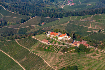 Schrägluftbild von Gebäude des Weinguts und Restaurants Schloss Staufenberg in Durbach im Ortsteil Heimbach im Bundesland Baden-Württemberg, Deutschland