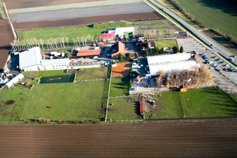 Adamshof in Kandel im Bundesland Rheinland-Pfalz, Deutschland