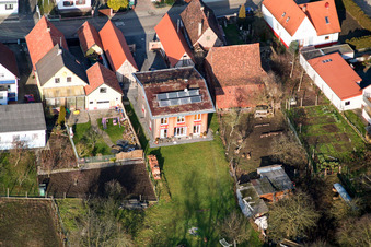 Gänsried in Freckenfeld im Bundesland Rheinland-Pfalz, Deutschland