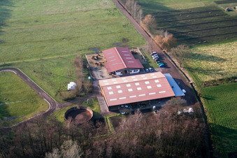 Freckenfeld Ponyhof im Bundesland Rheinland-Pfalz, Deutschland