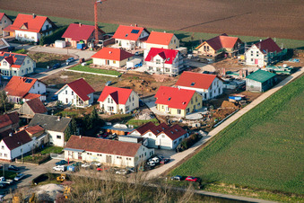 Seltzer Ring im Ortsteil Kleinsteinfeld in Niederotterbach im Bundesland Rheinland-Pfalz, Deutschland