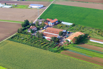 Dorfmarkt Schoßberghof von Michael Groß Landwirtschaft in Minfeld im Bundesland Rheinland-Pfalz, Deutschland