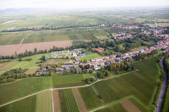 Schrägluftbild von Ortsteil Ingenheim in Billigheim-Ingenheim im Bundesland Rheinland-Pfalz, Deutschland