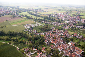 Luftbild von Ortsteil Appenhofen in Billigheim-Ingenheim im Bundesland Rheinland-Pfalz, Deutschland