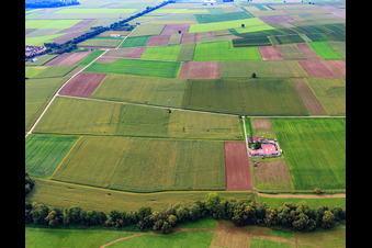 Rosenhof in Steinweiler im Bundesland Rheinland-Pfalz, Deutschland
