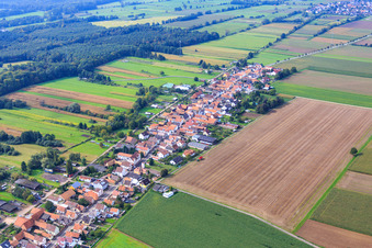 Saarstraße Ortsausgang nach W in Kandel im Bundesland Rheinland-Pfalz, Deutschland