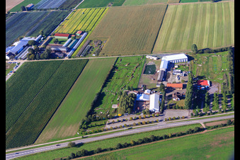 Fussballgolfpark Südpfalz auf dem Adamshof Kandel im Bundesland Rheinland-Pfalz, Deutschland