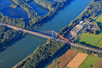 Pylonbrücke für der Autobahn A61 über den Rhein in Hockenheim im Bundesland Baden-Württemberg, Deutschland