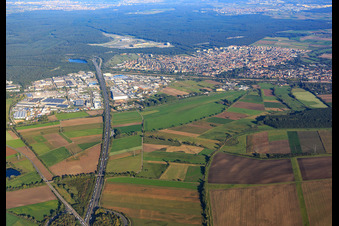 A61 Richtung Autobahndreieck Hockenheim im Bundesland Baden-Württemberg, Deutschland