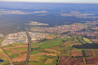 Luftbild von A61 Richtung Autobahndreieck Hockenheim im Bundesland Baden-Württemberg, Deutschland