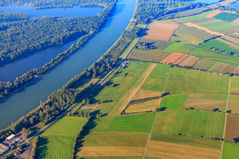Flugplatz Herrenteich in Hockenheim im Bundesland Baden-Württemberg, Deutschland