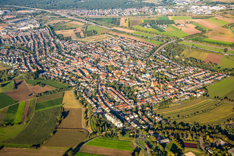 Brühl im Bundesland Baden-Württemberg, Deutschland