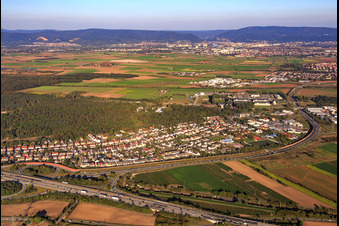 Ortsteil Hirschacker in Schwetzingen im Bundesland Baden-Württemberg, Deutschland