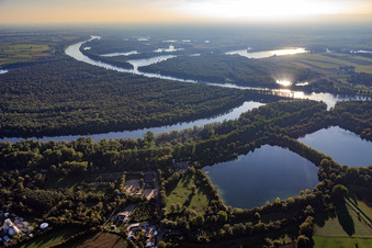 Naturschutzgebiet Ketscher Rheininsel und Altrhein im Bundesland Baden-Württemberg, Deutschland