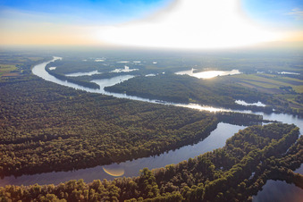 Naturschutzgebiet Ketscher Rheininsel und Altrhein sowie Bollenwörth im Otterstädter Auenwald auf der anderen Rheinseite in Otterstadt im Bundesland Rheinland-Pfalz, Deutschland