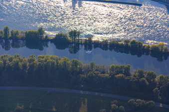 Sportflugzeug über dem Rhein in Altlußheim im Bundesland Baden-Württemberg, Deutschland
