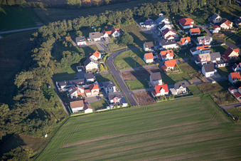 Blumenring im Ortsteil Hardtwald in Neupotz im Bundesland Rheinland-Pfalz, Deutschland