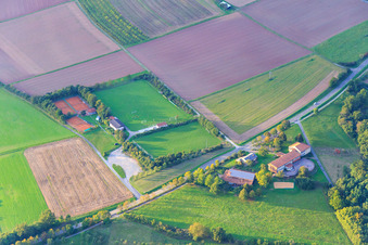 Sportplätze an der Werkrealschule Urphar/Lindelbach in Wertheim im Bundesland Baden-Württemberg, Deutschland